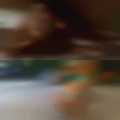 Free horny female fucking