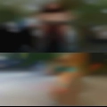 Horny girls contacts numbers