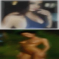 Leslie, Michigan swingers