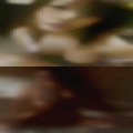 Married swingers Houston