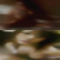 Horny housewives Dorado